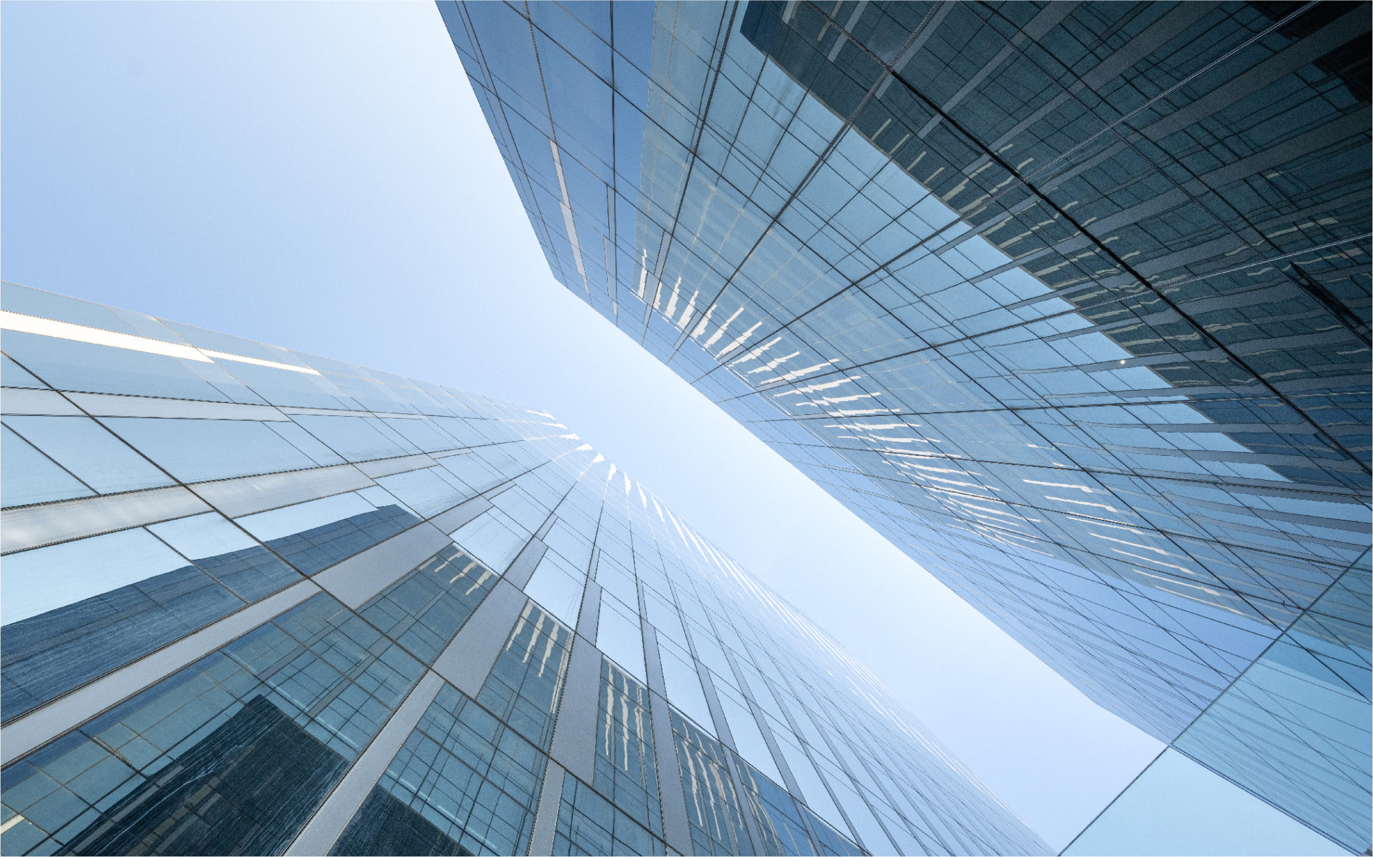 [Image: Organization-01-2000x1248.jpg]